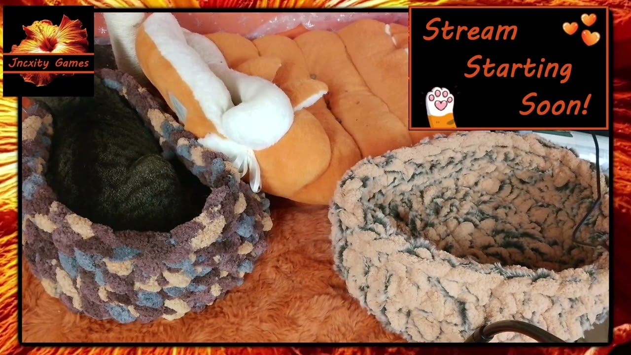 Crochet Stream! ~ Pix Plushies & Pet Beds! 🧡  1/20/2026