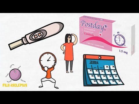 Video POSTDAY | PARA QUÉ SIRVE? - youtube