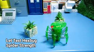 Celebrity HexBug Robotic Spider Net Worth
