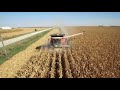 Amazing Harvesting Season In Iowa, USA | Corn Harvest And Beef Cattle On Iowa's Largest Farm