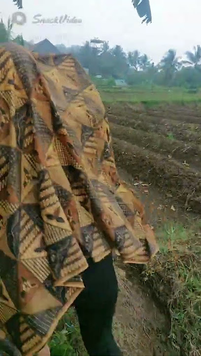 Video ini mengesankan, ayo  lihat aja! https://sck.io/p/JZR2rNdk