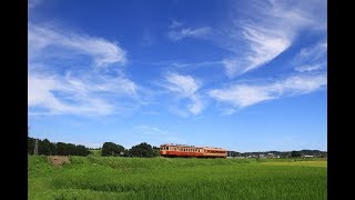 いすみ鉄道 夏景色を行く急行列車 2019年8月