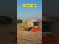 Sweden Agriculture Job #shorts #europe #agriculture #viral #tiktok #travel #jobs #india #video #new
