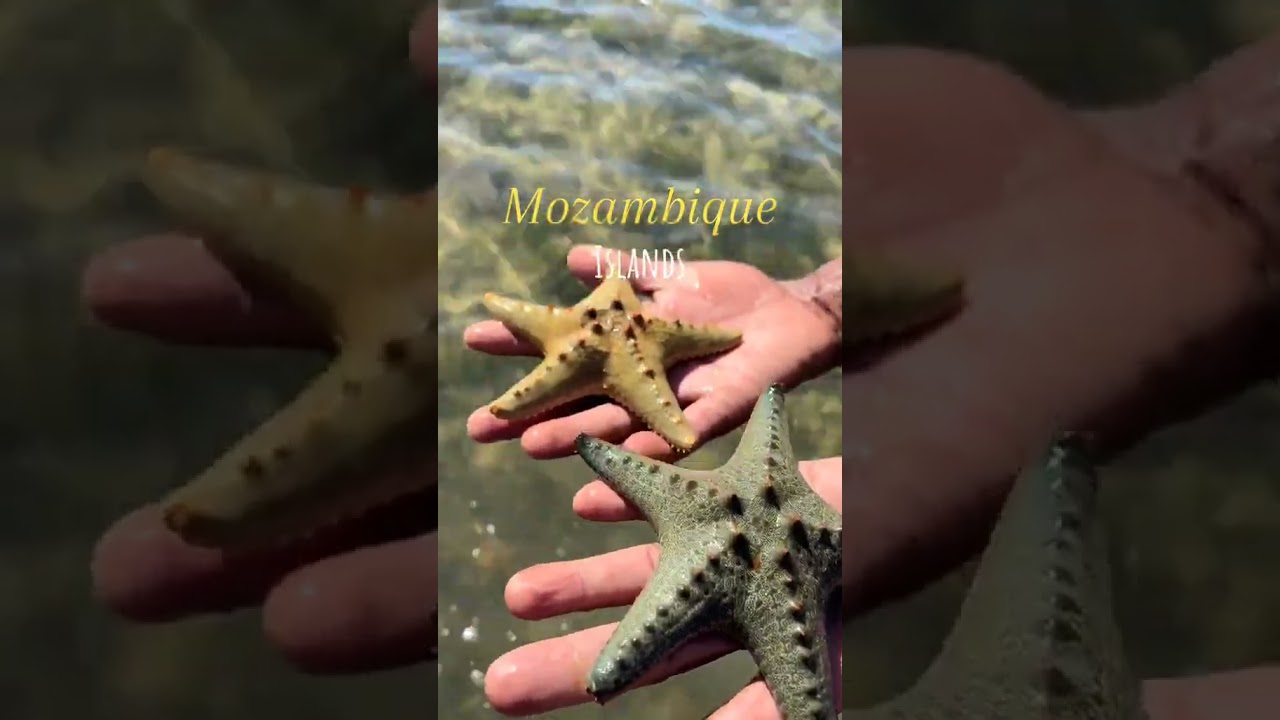 Duas ilhas, um paraíso: Inhaca e Ilha dos Portugueses 🏝️