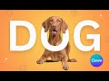 How to Make IMAGES POP out of TEXT in CANVA  l  Easy Tutorial
