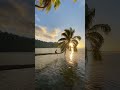 Moorea Island 🏝️ #frenchpolynesia #tahiti #tahitiocean #france