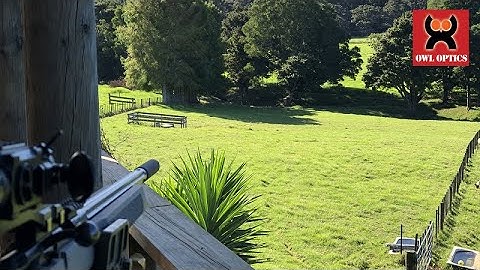 PARD 008 S - Testing the  Ballistics