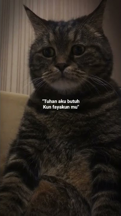 Tuhan aku butuh Kun fayakun mu