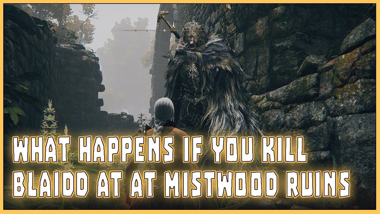 Blaith ELDEN RING - What Happens if you Kill Blaidd at Mistwood Ruins - YouTube