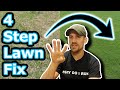 Beginner Lawn Care Tips // How To Improve Your Lawn in 4 Easy Steps // Lawn Motivation