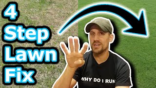 Beginner Lawn Care Tips // How To Improve Your Lawn in 4 Easy Steps // Lawn Motivation screenshot 1