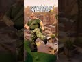 POV: Quando il tuo bro si scalda in creativa per 2 ore e poi missa tutti i colpi* #shorts #fortnite