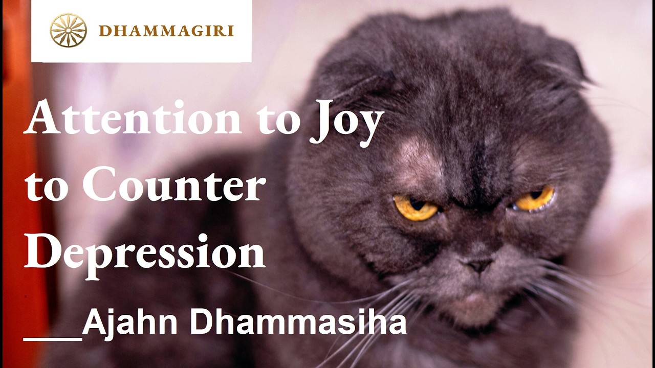 Retraining the Fault Finding Mind | Focus on Joyful Events to Prevent Depression | Ajahn Dhammasiha