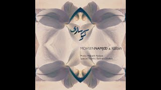Nobahari - Mohsen Namjoo & Kâbin نوبهاری -  محسن نامجو و کابین