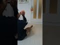 見た目で人をイジるのはやめようよ
