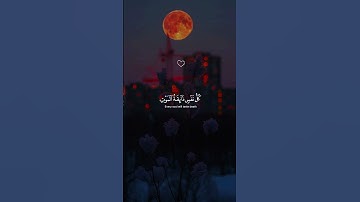 #قران_كريم #تلاوة_خاشعة #quran 🤍