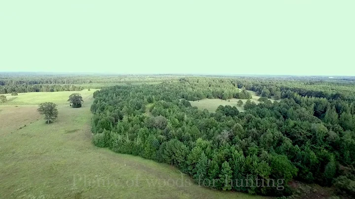 Hwy 43 Jefferson, TX
