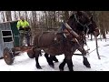 Moving logging horse camp deeper into the woods. Dec. 2018