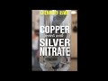 Chemistry ASMR: Copper reacts with Silver Nitrate!  #shorts