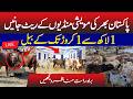 Pakistan Cattle Market Prices 2026 🇵🇰 | Bulls From 1 Lakh to 1 Crore | Live Mandi Updates