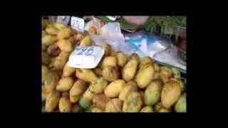 Exotic Thai Food