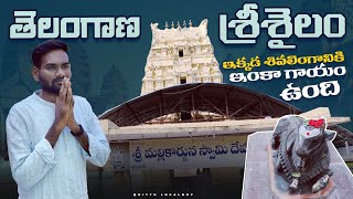 odela mallikarjuna swamy temple full history || odela mallanna | odela village| peddapalli || chanti