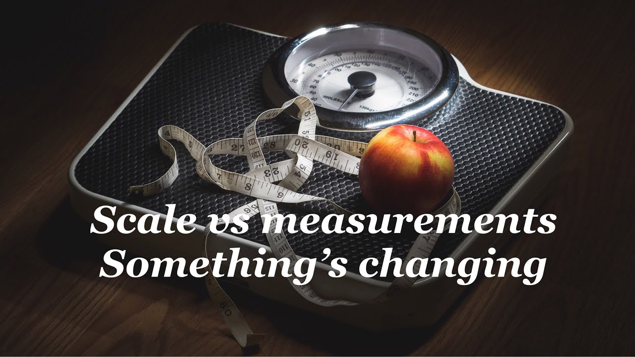 WW Points Plus days meatloaf, scale vs weight, what’s happening?