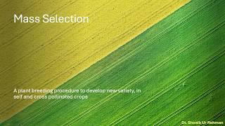 Mass Selection (Plant Breeding Procedure)