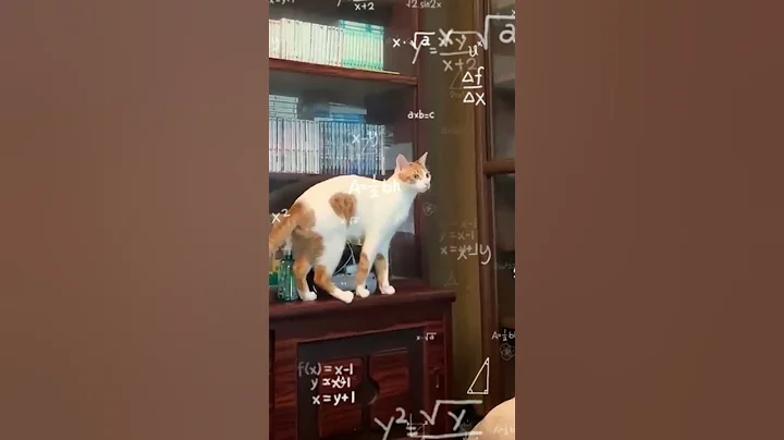 this cat is so smart it's scary 😨 - DayDayNews