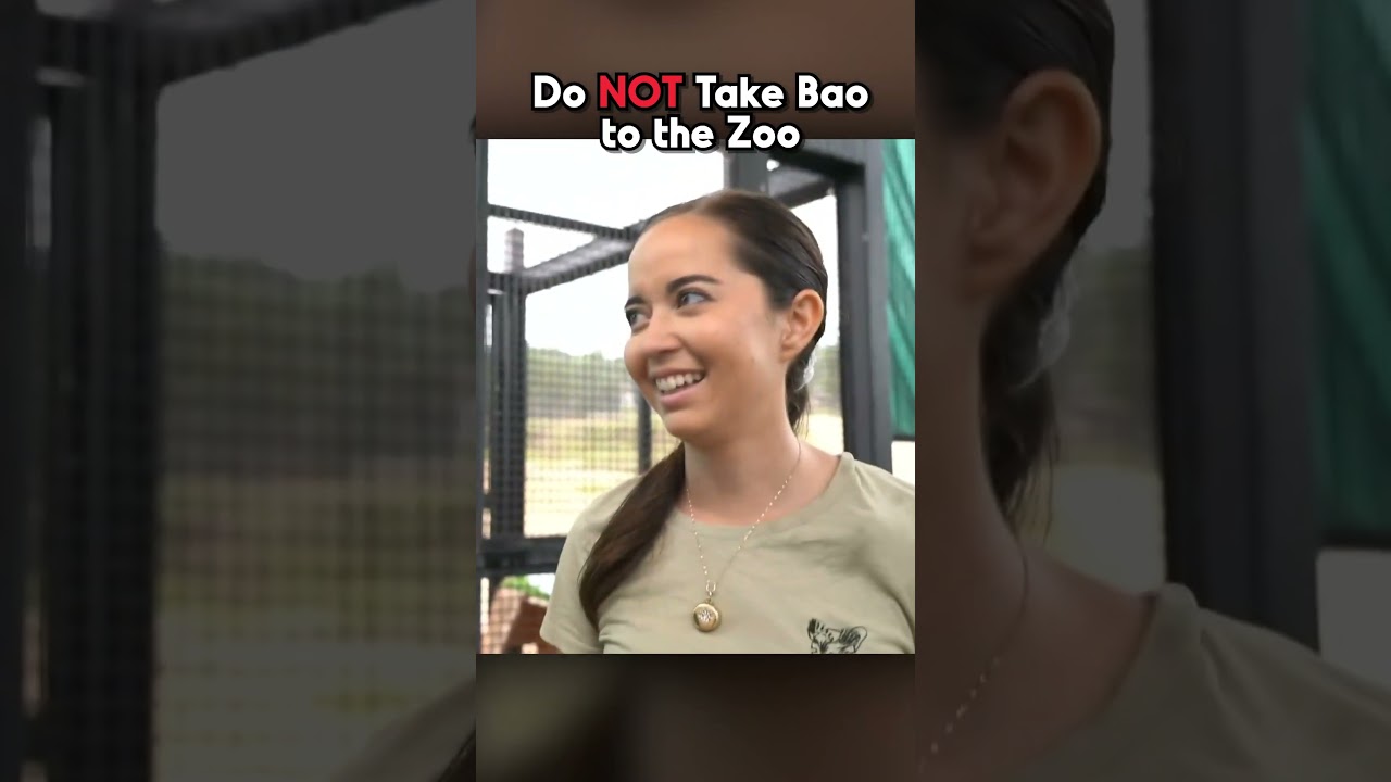 Bao talks to a Parrot 