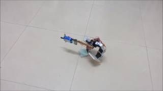 Bipedal StriderBot: Robot Moves