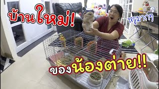 แต่งบ้านใหม่! ให้น้องกระต่าย!! | แม่ปูเป้ เฌอแตม Tam Story