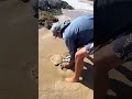 Why You Will Never Walk On Sand Again