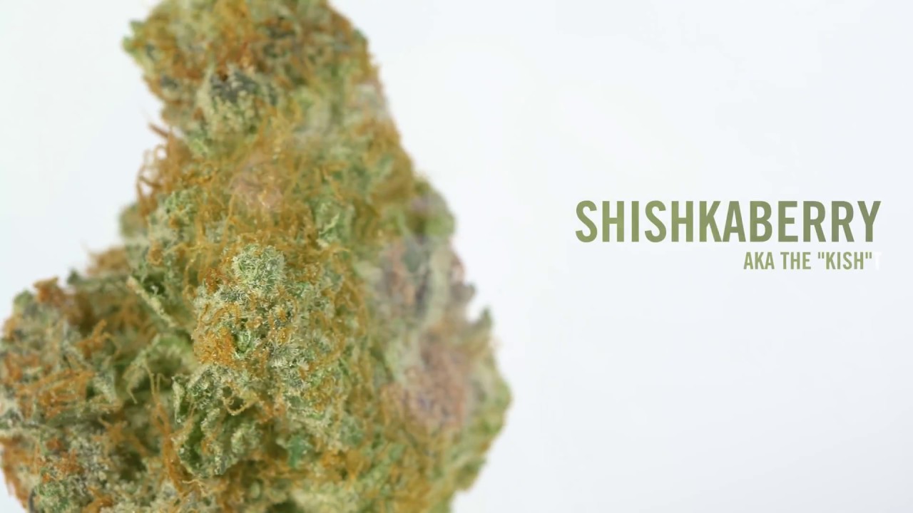 Shishkaberry AKA "The Kish" Strain Review | Grower: Highland