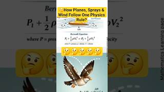 How Planes, Sprays &amp; Wind Follow One Physics Rule #bernoullisprinciple #bernoullisequation #physics
