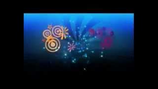 bangladeshi royal tiger energy drink bangla vision mega eid concert 2012 doha qatar