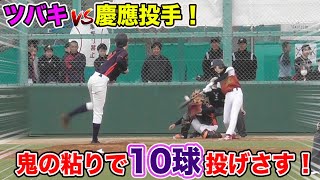 ツバキが慶應左腕に挑む！鬼の粘り10球投げさす...根性のカット打法！