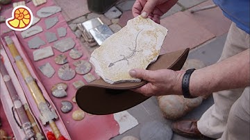 Krainy skamieniałych cudów: ukryte skarby natury - Zwiastun | Da Vinci