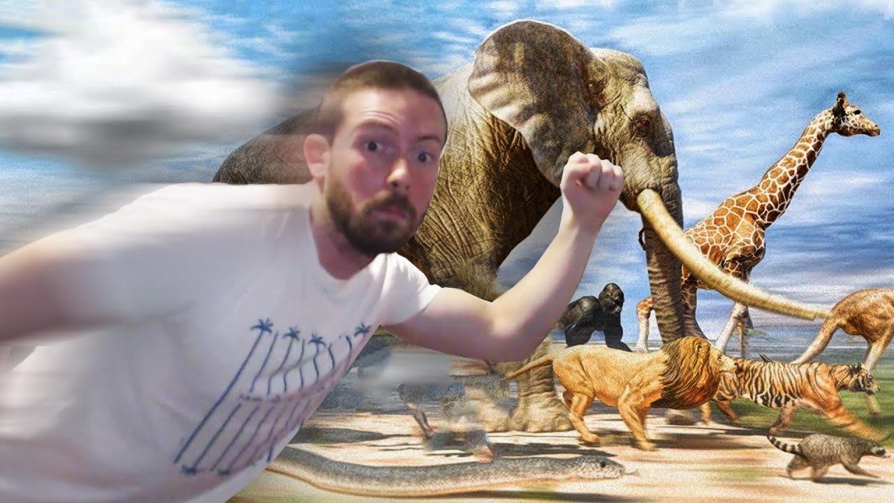 Animais que você VENCERIA numa CORRIDA