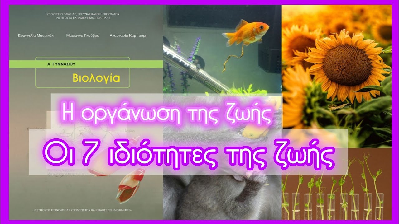 Οι 7 ιδιότητες της ζωής • Οργάνωση της ζωής • Κεφ. 1.1