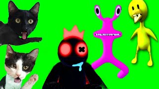 Skins de Blue vs Pink y Yellow de Rainbow Friends Morphs Roblox / Videos de gatitos Luna y Estrella