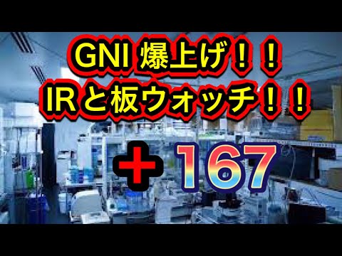 GNI爆上げ！！IRと板チェック！プラス167！！