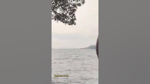 Thumbnail of Petualangan di samudra hindia