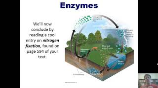 Chemical Kinetics, Chapter 14 – Part 7: Enzymes