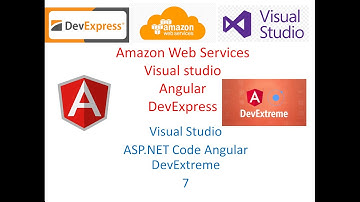 Visual Studio coding ASP.NET Core Angular with DevExtreme 7 - DashBoard 1(中文說明)