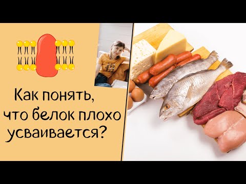 Как понять, что белок плохо усваивается?