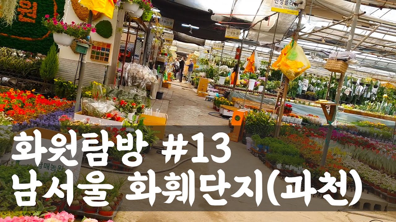 [화원탐방 #13]  남서울화훼단지 (과천화훼단지)