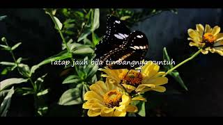 Video thumbnail of "Tanasaghara - Dilingkar kupu kupu"