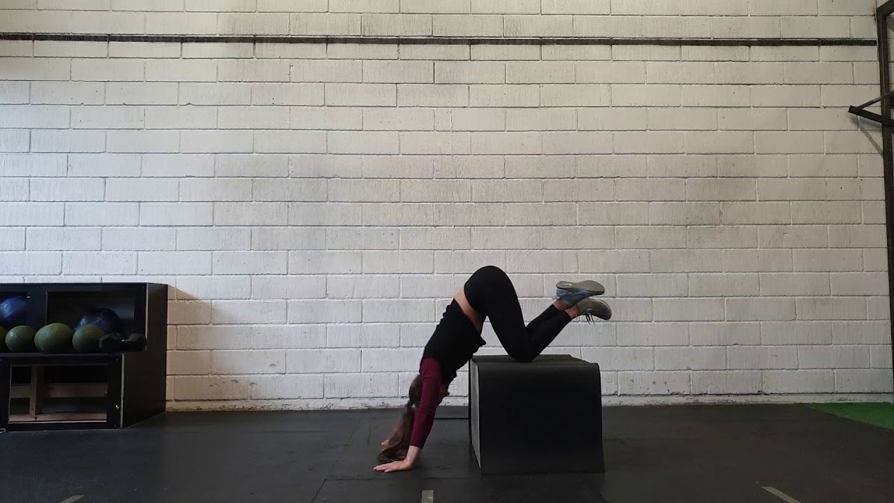 Handstand pushups (knees on box scale) camera iphone 8 plus apk