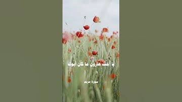#القرآن_الكريم  #سورة مريم